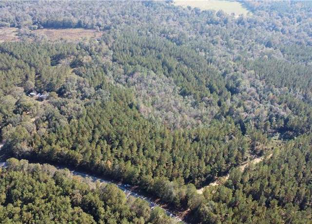 Property at 186 Acres Hwy 436 Hwy, Angie, LA 70426