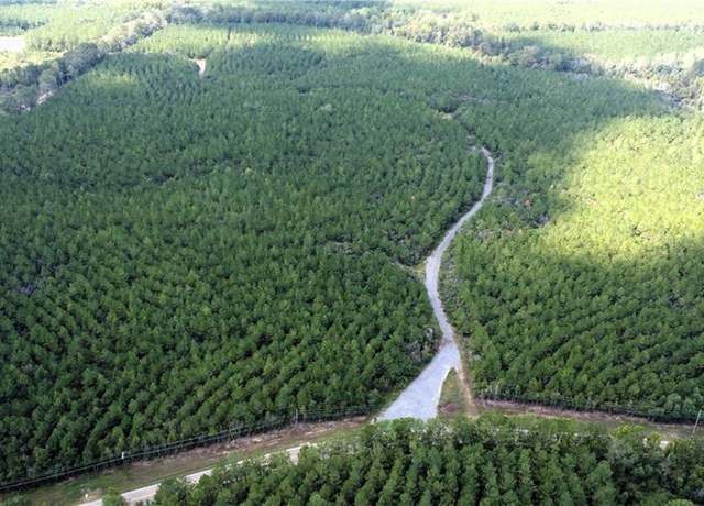 Property at 177 Acres Hwy 450 Hwy, Franklinton, LA 70438
