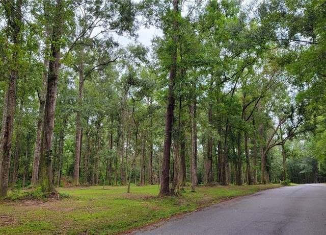 Property at 0 Milton Craddock Rd, Pearl River, LA 70452