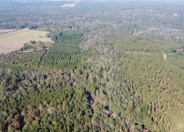Property at 175 Acres Hilltop Church Rd, Angie, LA 70426