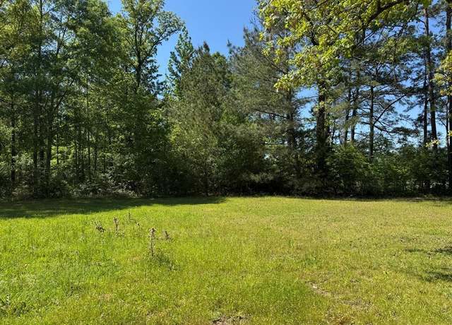 Property at 000 Bogue Chitto Rd, MS 39629