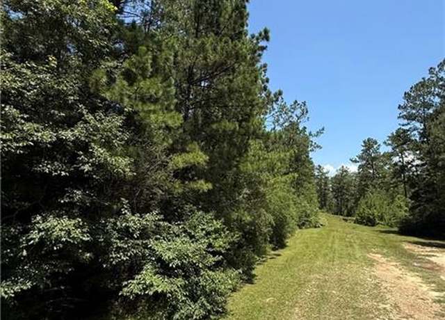Property at Tbd Lake Choctaw Rd, Franklinton, LA 70438