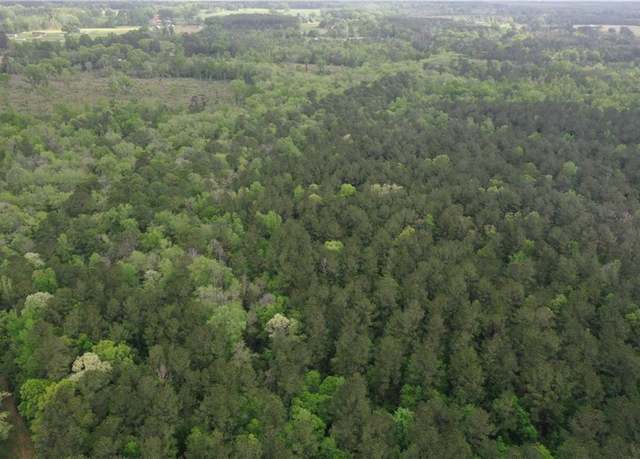 Property at Undisclosed address, Angie, LA 70426