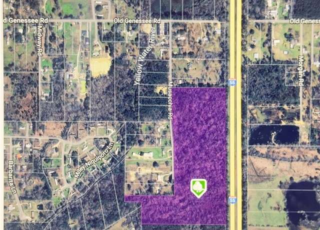 Property at 32.34 Acres Musacchia Rd, Tickfaw, LA 70466