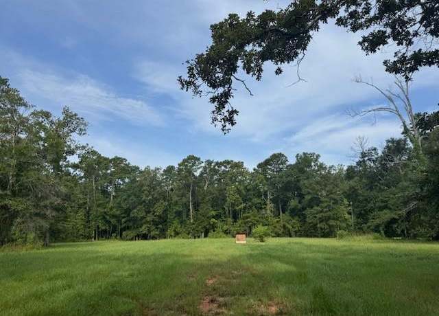 Property at 18163 Balfantz - 2 Acres +/1 Rd, Springfield, LA 70462