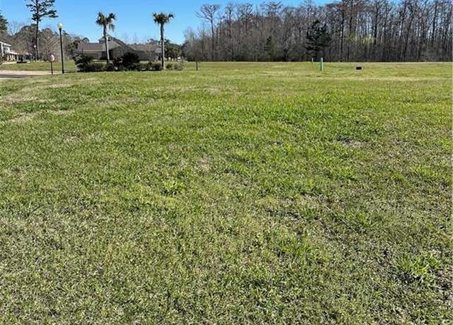 Property at 21565 Blue Marlin Dr, Springfield, LA 70462