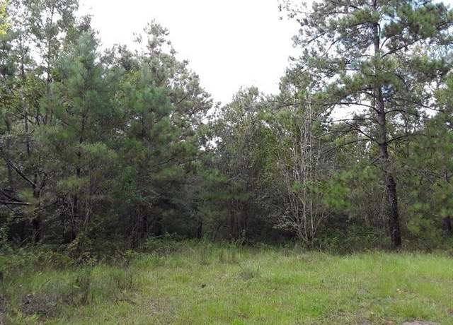 Property at 23199 Mixon Rd, Amite, LA 70422