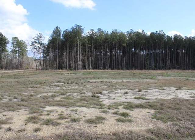Property at 24755 B-1 442 Hwy, Independence, LA 70443