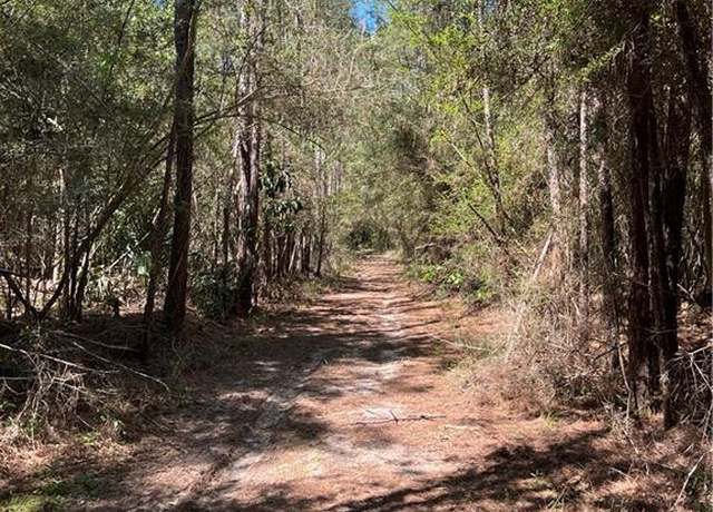 Property at Elmore Mckigney Ln, Springfield, LA 70462