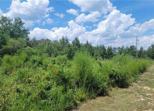 Property at TBD Lot 5 Whitpalm Dr, Independence, LA 70443