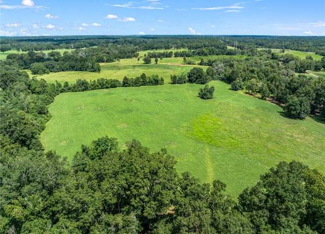 Property at 60412 Ruth Holton Rd, Amite, LA 70422