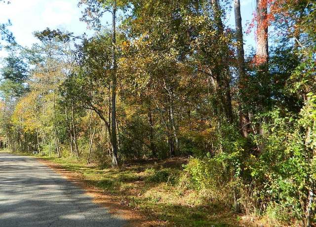 Property at Lots 158 & 159 Bogue Falaya Dr, Covington, LA 70433