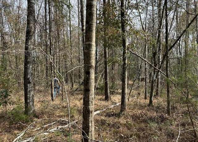 Property at Hwy 441 Hwy, Holden, LA 70744