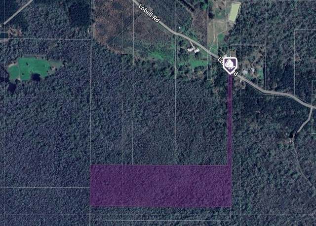 Property at 30 AC Lobell Rd, Holden, LA 70744