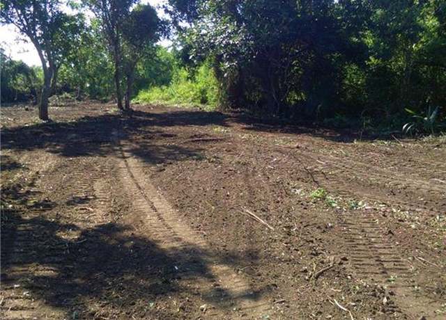 Property at TBD Delacroix Hwy, St Bernard, LA 70085