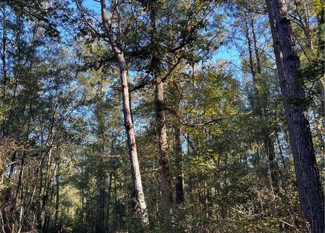 Property at Undisclosed address, Albany, LA 70711
