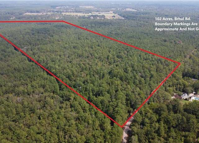 Property at 102 Acres Bruhl Rd, Folsom, LA 70437
