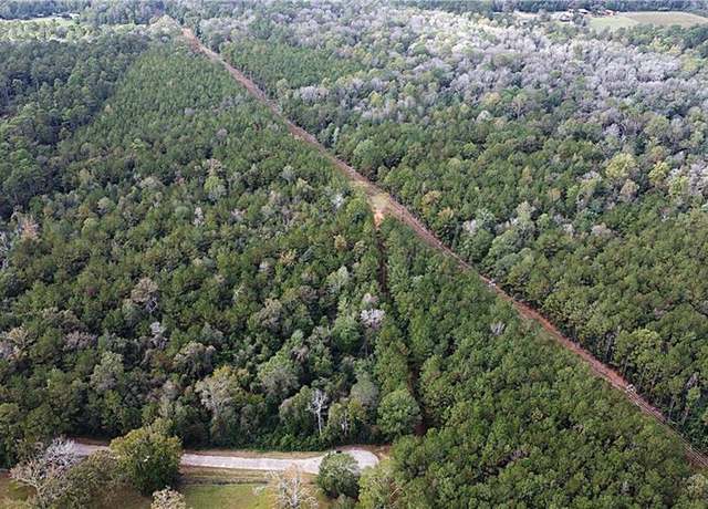Property at 49 Acres Holliday Rd, Folsom, LA 70437