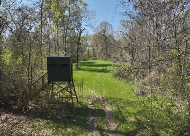 Property at 8730 Grand Gulf Rd, Port Gibson, MS 39150