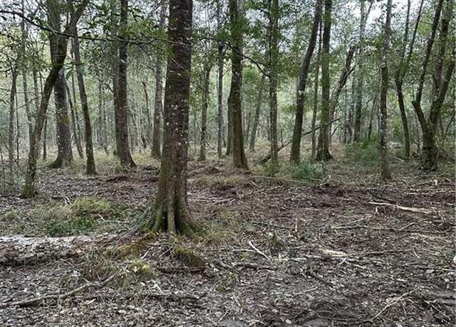 Property at TBD W Dutch Road Rd, Franklinton, LA 70438