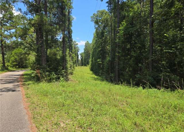 Property at 0 Cressionnie Rd, Carriere, MS 39426