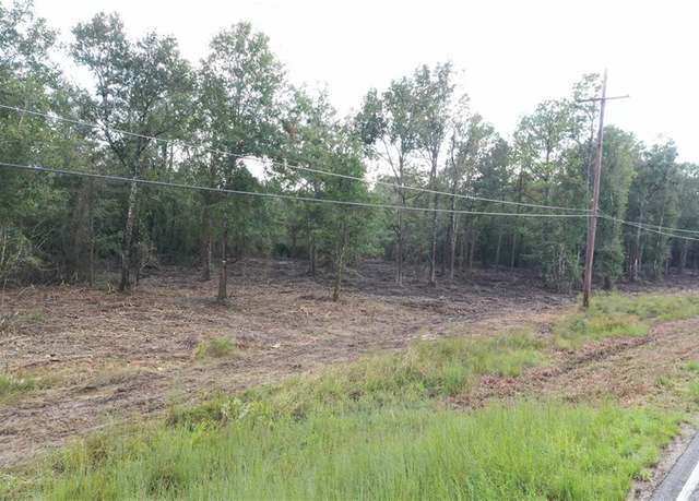 Property at Undisclosed address, Springfield, LA 70462