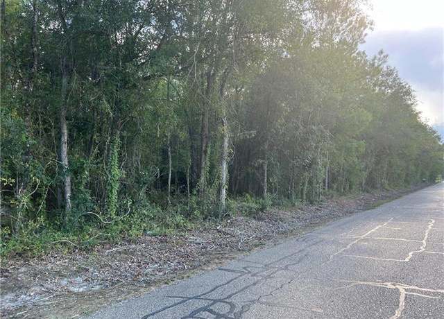Property at TBD Hutchinson Cemetary Rd, Albany, LA 70711