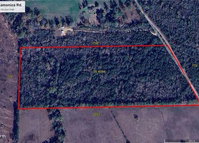 Property at Lamonica Rd, Independence, LA 70443