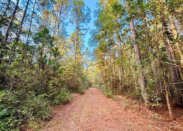 Property at 15 Acres E Moran Rd, Pearl River, LA 70452