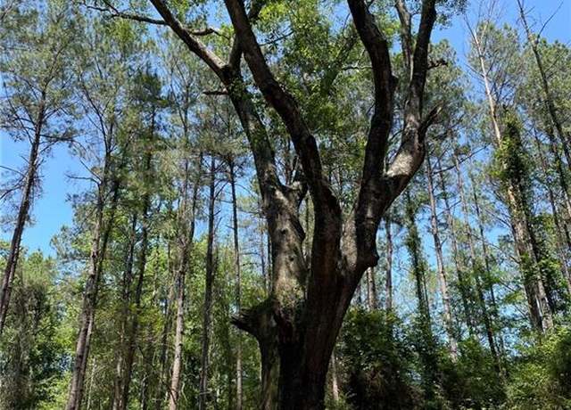 Property at TBD La-38 Hwy, Greensburg, LA 70441