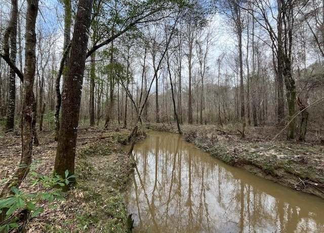 Property at 1365 Mickle Smith Trl, MS 39629