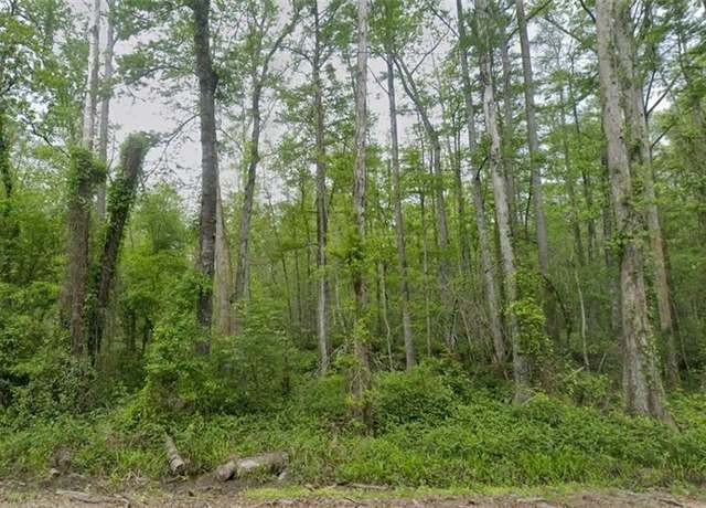 Property at Traino Rd, Ponchatoula, LA 70454