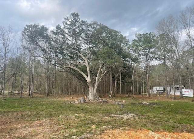 Property at 24389 Michael Dr, Ponchatoula, LA 70454