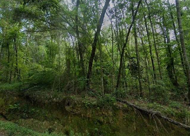 Property at Old Uneedus Rd, Loranger, LA 70446