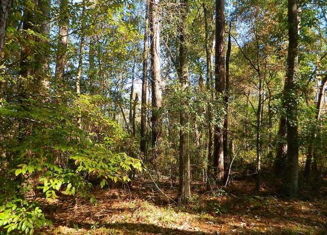 Property at Lots 160-164 Bogue Falaya Dr, Covington, LA 70433