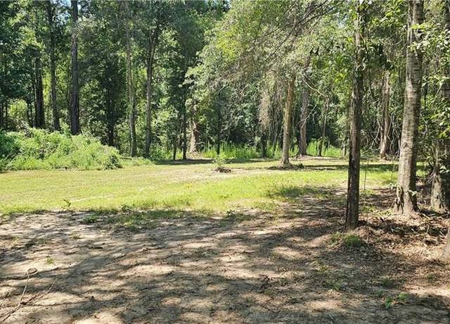 Property at 112 N Apple South Dr, Carriere, MS 39426
