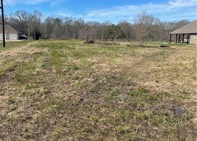 Property at 26411 Clyde Blount Rd, Livingston, LA 70754