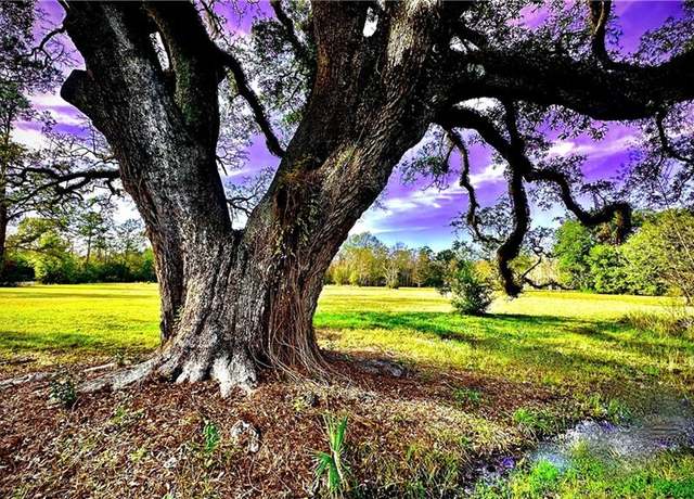 Property at 204 Magnolia St, Mandeville, LA 70448