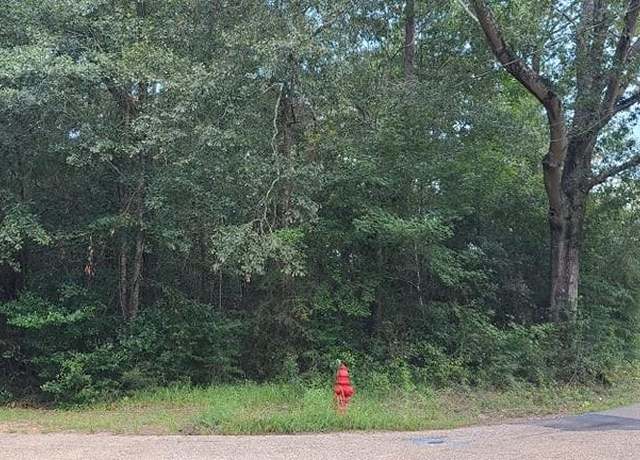 Property at 0 Avenue I, Bogalusa, LA 70427