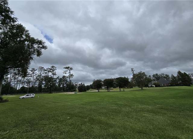 Property at 23792 Shady Oak Ct, Springfield, LA 70462