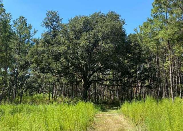 Property at 29424 George White Rd, Holden, LA 70744