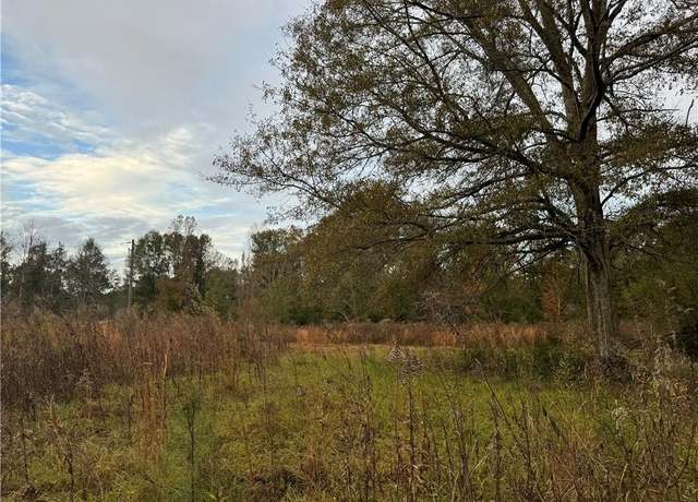 Property at 31039 Hubert Grantham Rd, Franklinton, LA 70438