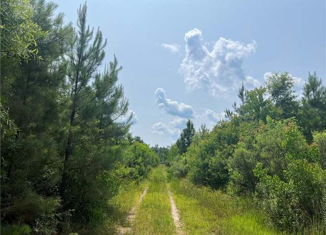 Property at 1439 Leonard Chapel Rd, Independence, LA 70443