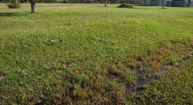 Photo of Highland Crest Dr, Covington, LA 70435