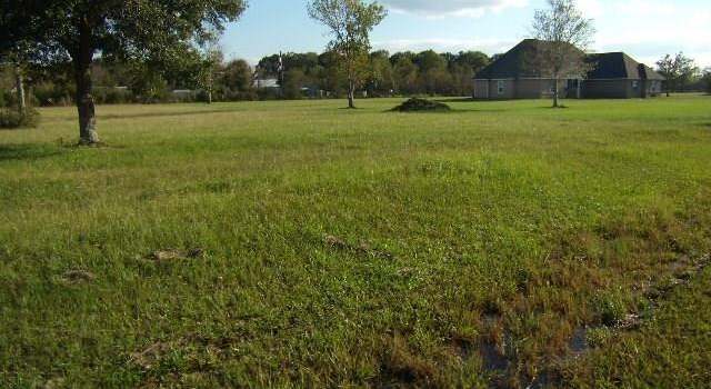 Photo of Highland Crest Dr, Covington, LA 70435