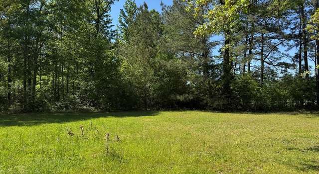 Photo of 000 Bogue Chitto Rd, MS 39629