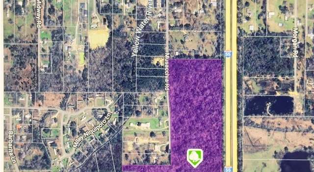 Photo of 32.34 Acres Musacchia Rd, Tickfaw, LA 70466