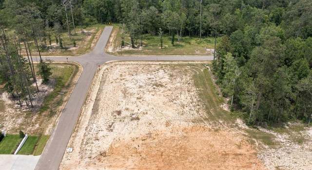 Photo of 43 Silverberry Dr, Covington, LA 70433
