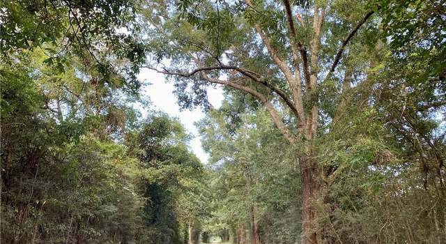 Photo of E Stateline Rd, Sandy Hook, MS 39478