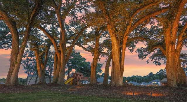 Photo of 19285 Providence Ridge Blvd, Hammond, LA 70403